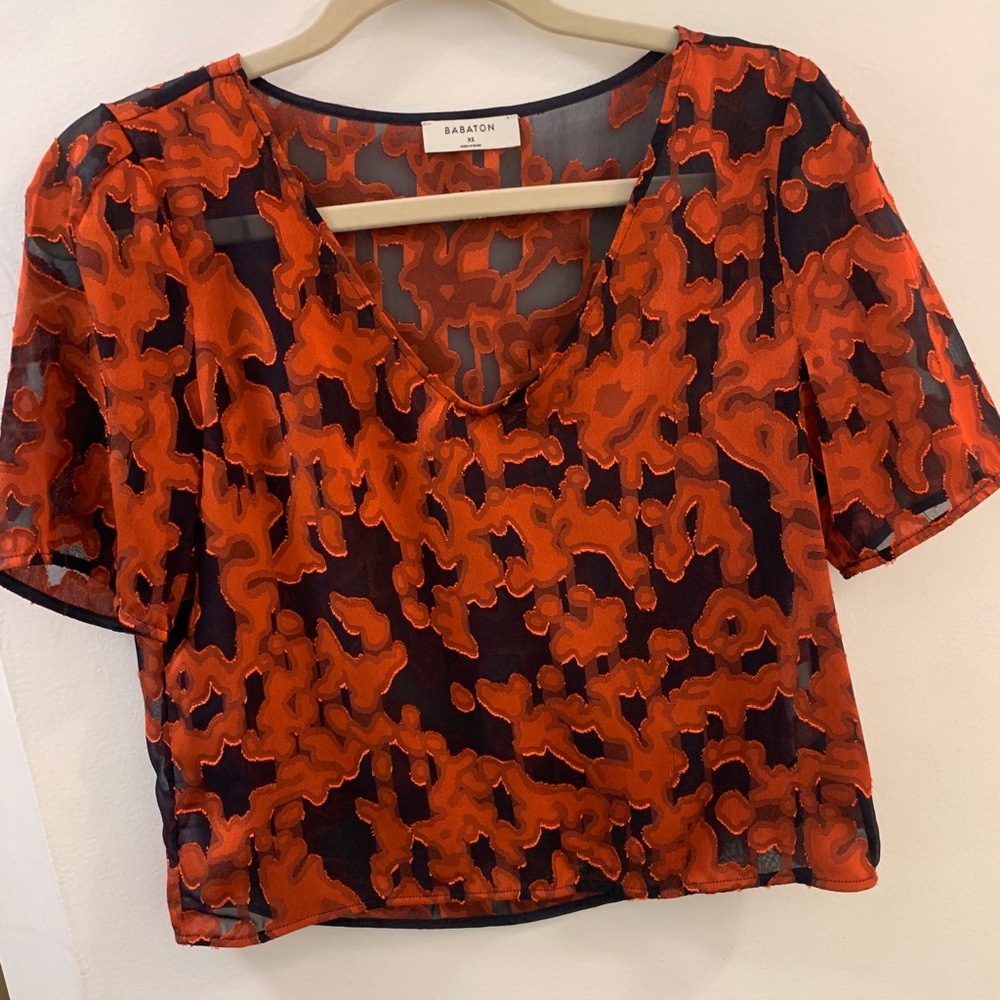 Aritzia crop blouse
